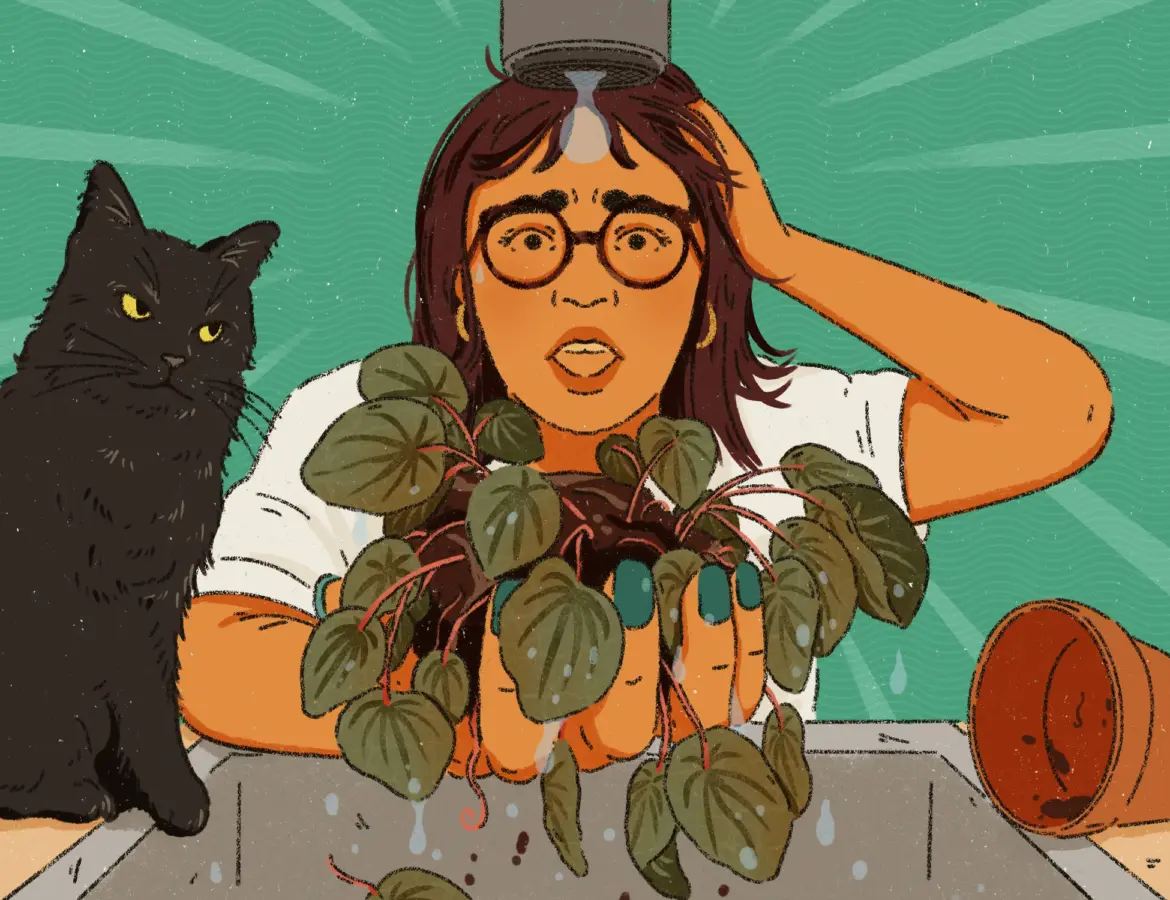 Confessions of a Serial Houseplant Killer Trying Again