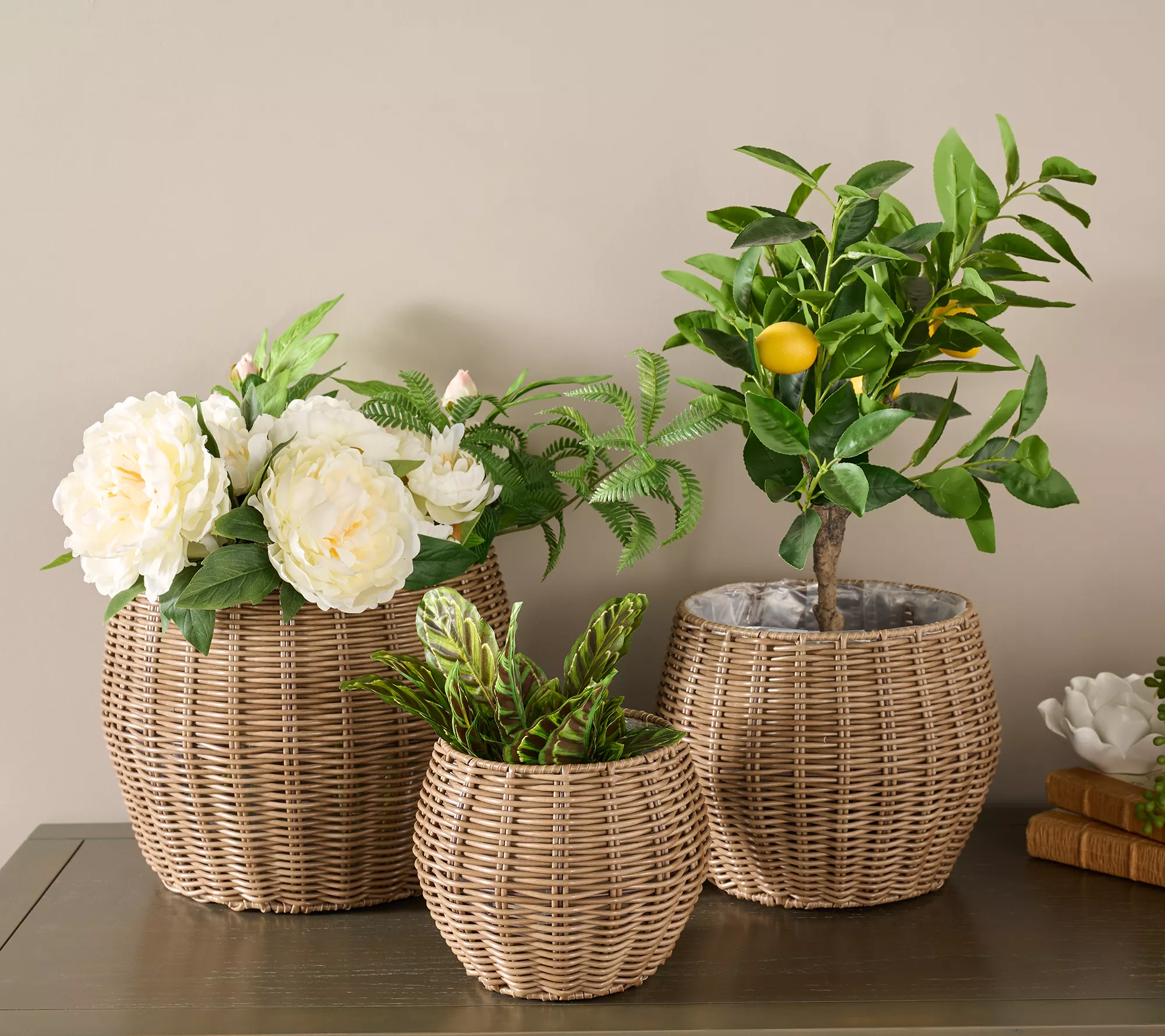 Garden Reflections Set of 3 Rattan Planters