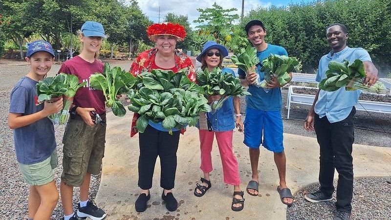 Budding keiki chefs invited to enter video cooking contest Winners will get hands-on agricultural and learning opportunities in composting, gardening techniques, harvesting plants for recipes and garden safety. (GET Local Healthy Food Systems)