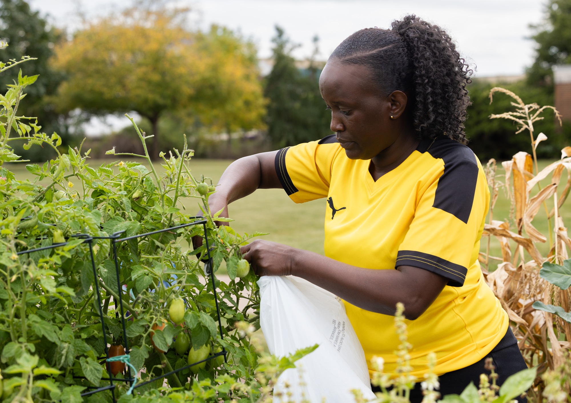 Edith Mugisha, a Harper student, works with a plant the Harper Grows Community Garden
