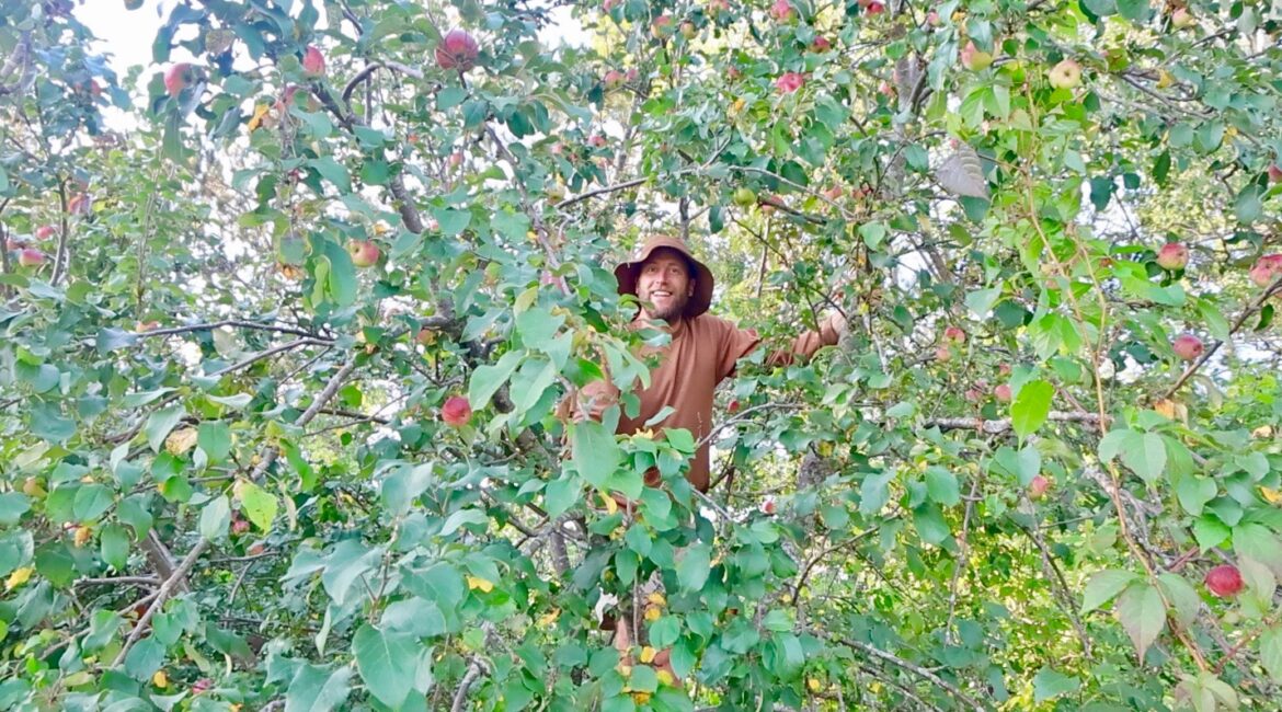 The Earth is my garden: How I am living on foraged food for a year