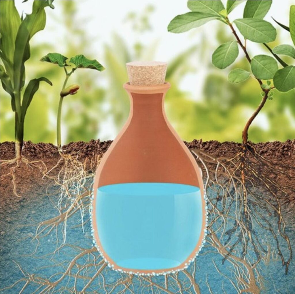 Has anyone here used ollas (terracotta irrigation pots) for watering their garden? Has anyone here used ollas (terracotta irrigation pots) for watering their garden?