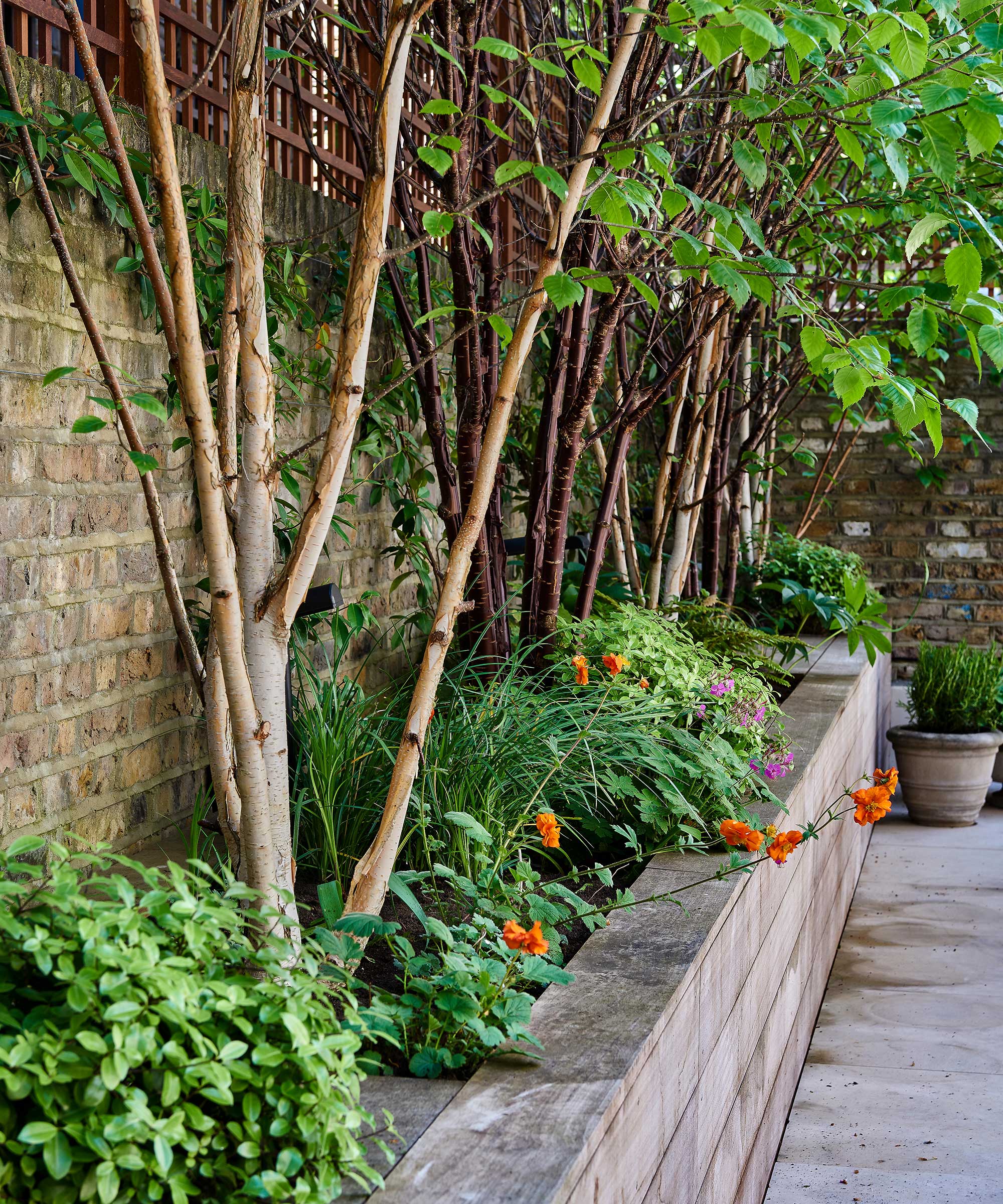 raised flower beds with trees and greenery