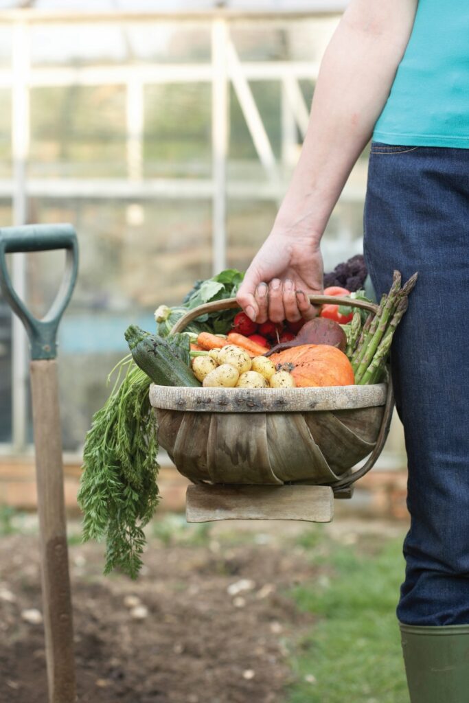 All-natural ways to protect food gardens from pests