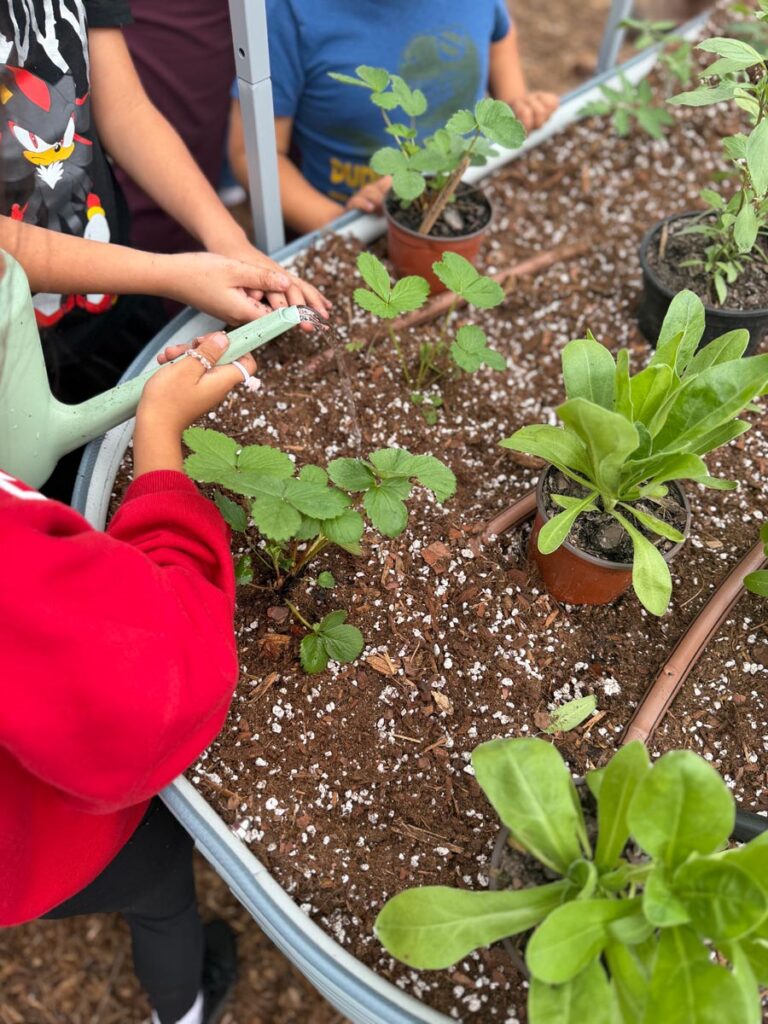 House of Hope Unveil Three Teaching Gardens