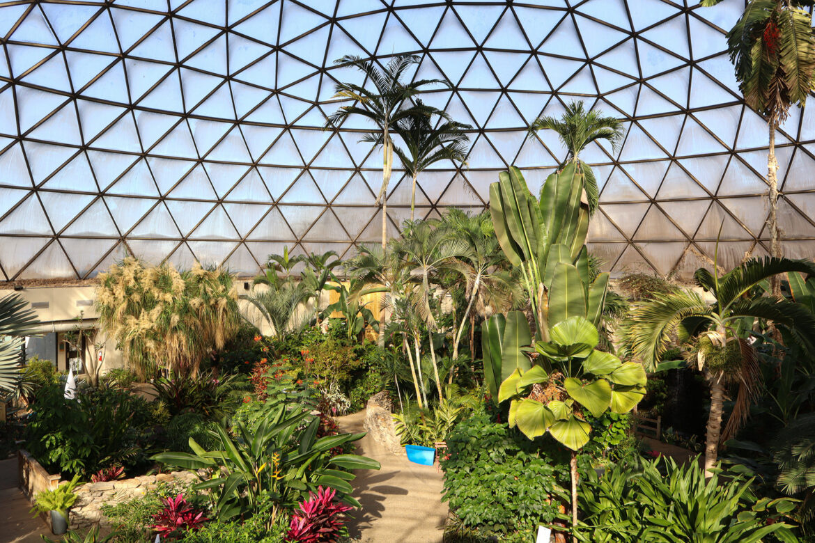 A variety of plants grow inside the Des Moines Botanical Garden, in Des Moines, Iowa, on Thursday, January 29, 2026