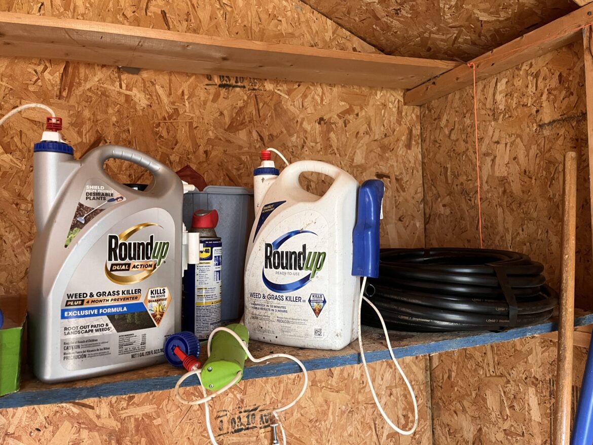 Duke study raises concerns about Roundup use Duke study raises concerns about Roundup use