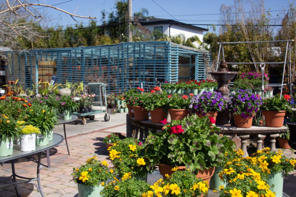 3. Apenberry's Garden
