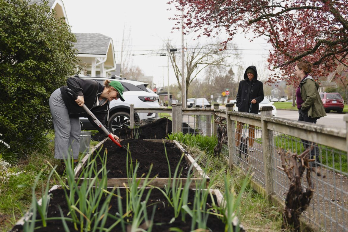 Unexpected joys of gardening in the front yard: It’s not about the veggies Unexpected joys of gardening in the front yard: It's not about the veggies