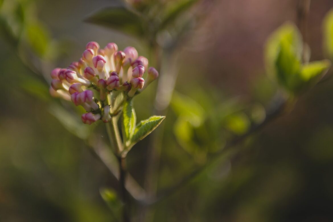 A 90-day plan for Lane County gardeners