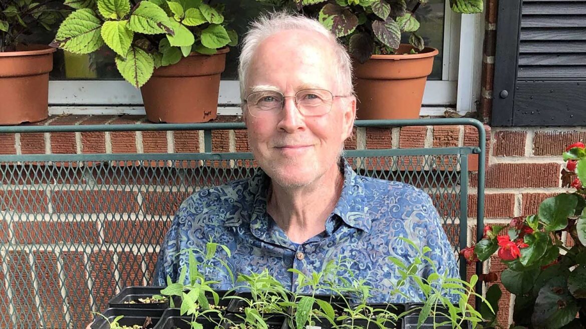 An elderly gentleman holds a tray of newly propagated plants.