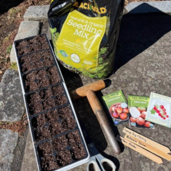 Judy Smith, with the Greens Farms Garden Club, has all the essentials ready for starting seeds - Contributed photo