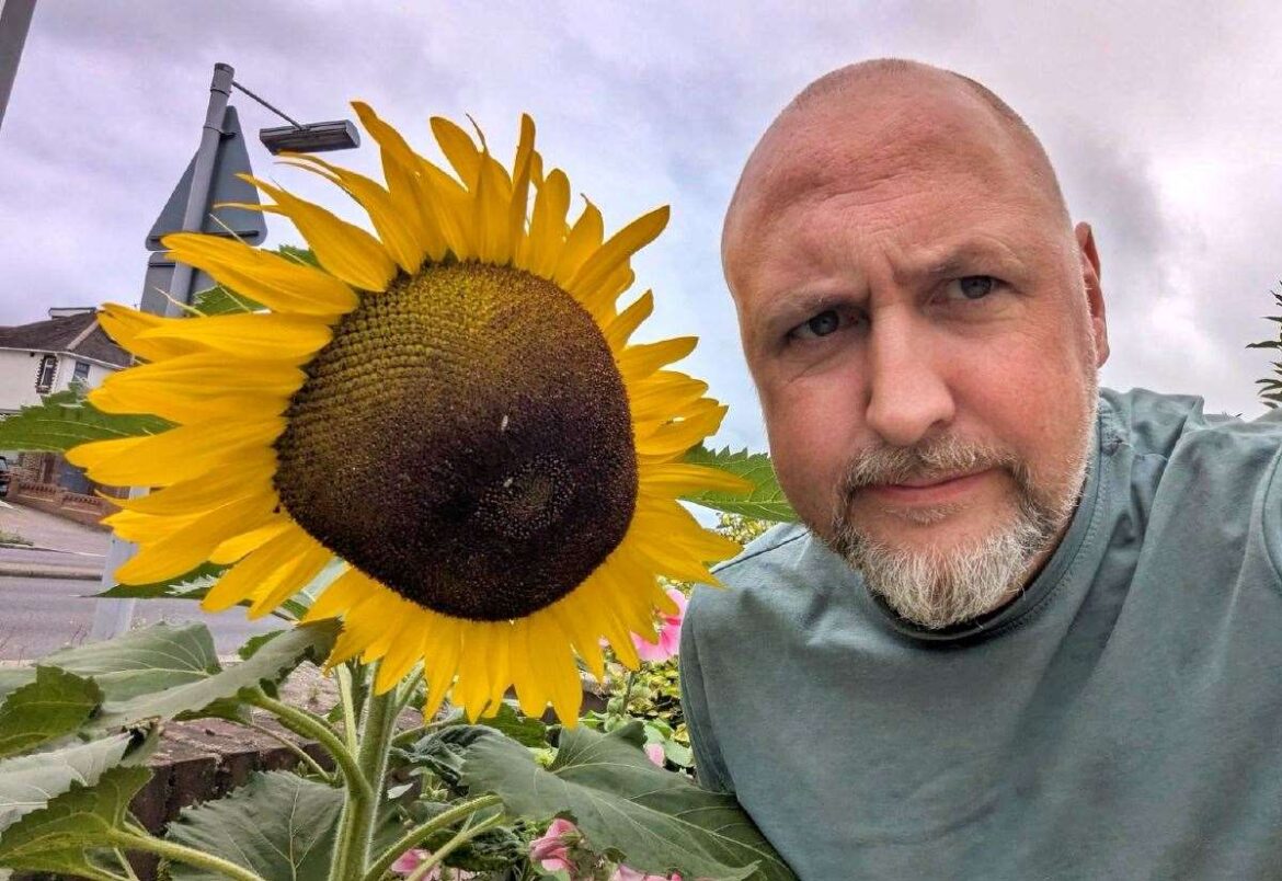 Gillingham gardener plants hundreds of sunflowers across Medway to brighten neglected spaces and discourage fly-tipping