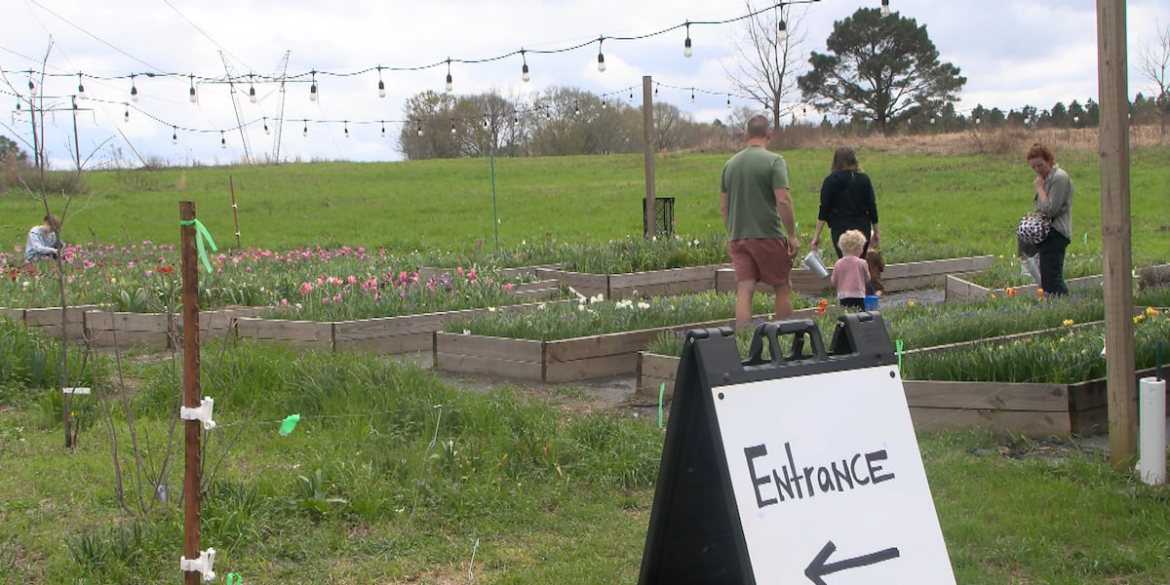 Hattiesburg Botanical Garden now open, fundraising for accessibility