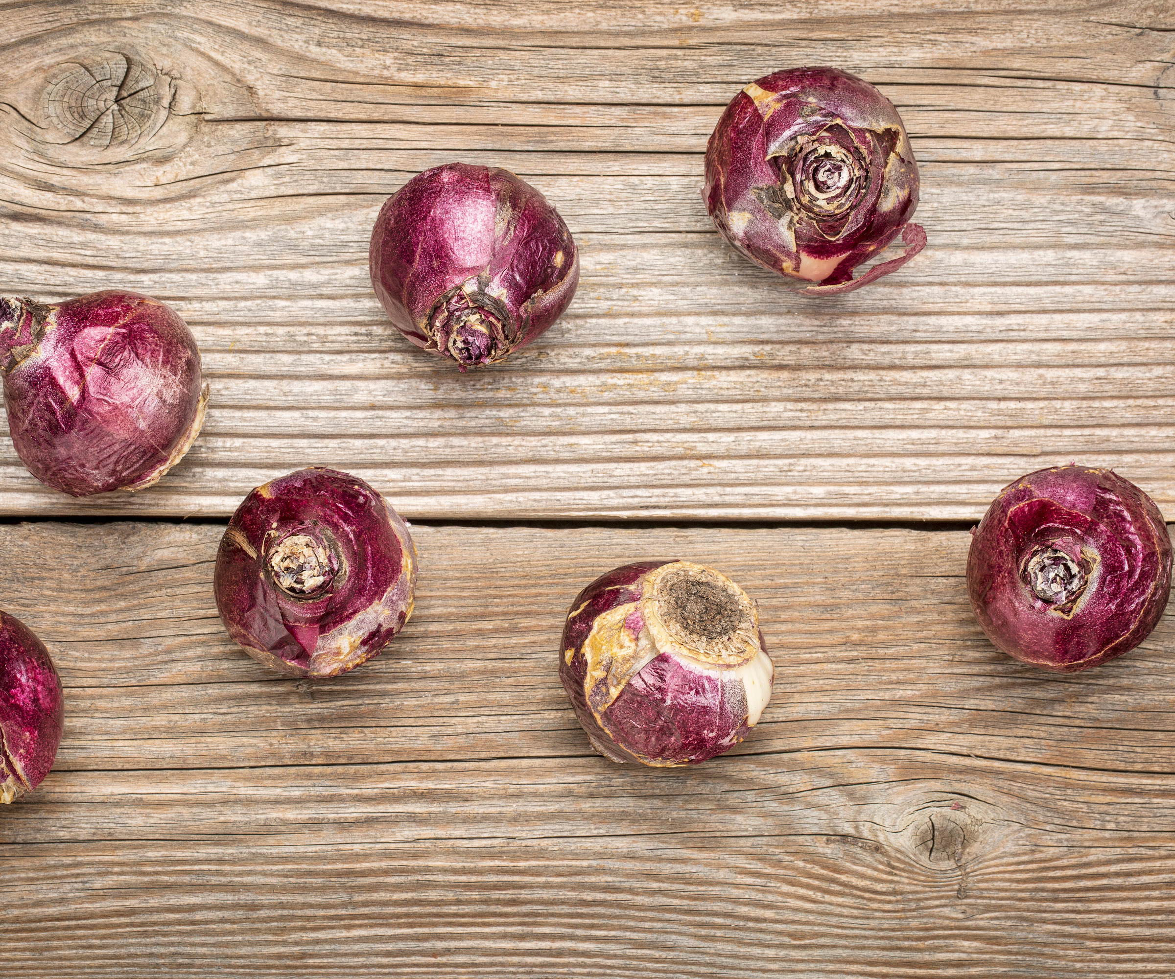 Clean, dry Hyacinth bulbs on a wooden surface