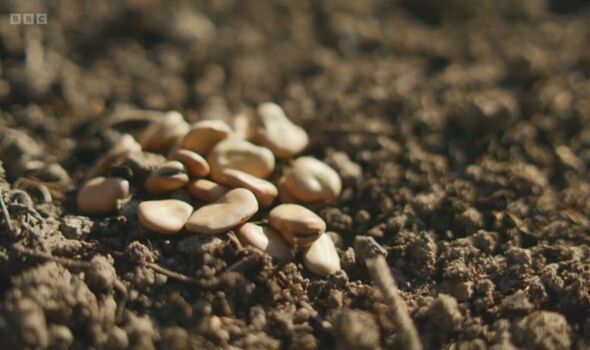 Gardeners' World
