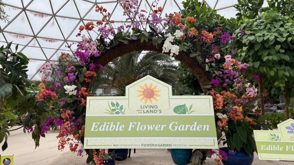 Flower and Garden Overlay 2026