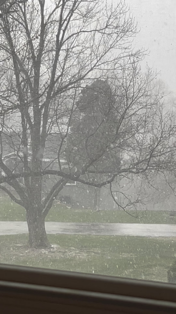 Love March weather /s