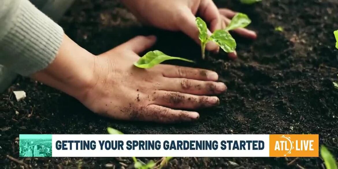 what to plant now and how to shop local at farmers markets what to plant now and how to shop local at farmers markets