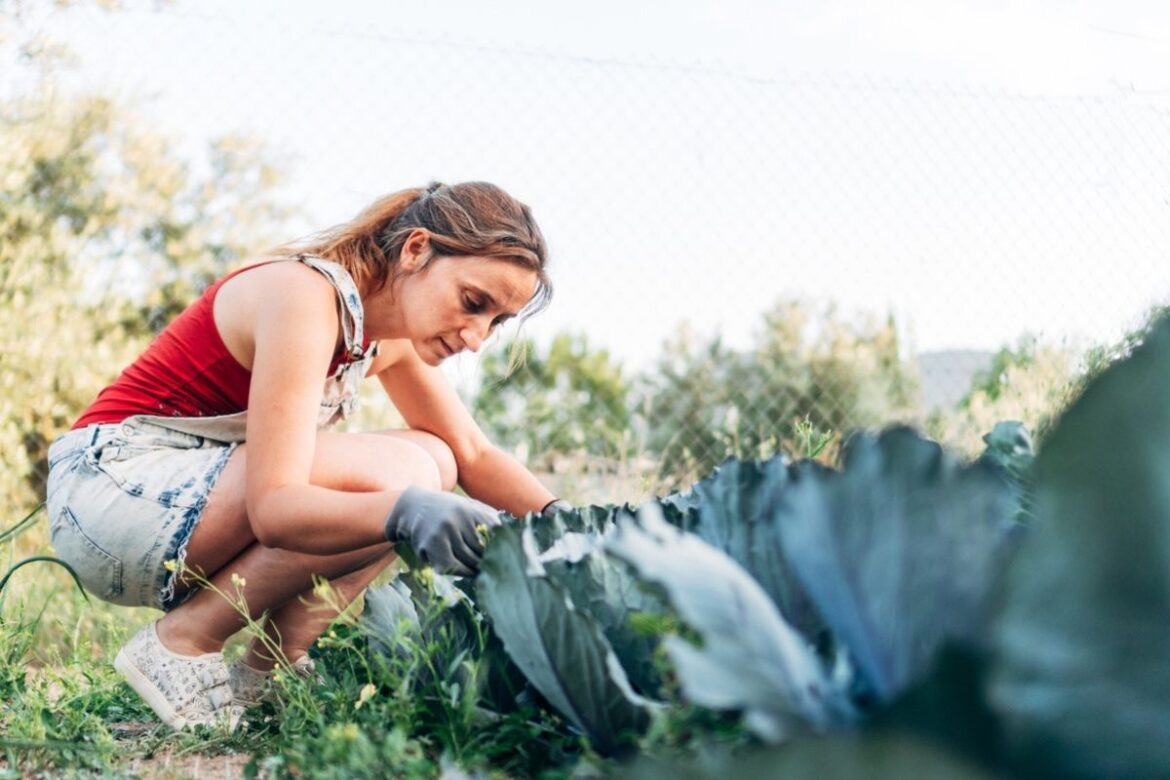 You might be making this mistake: this simple step can transform your garden and boost your harvest garden
