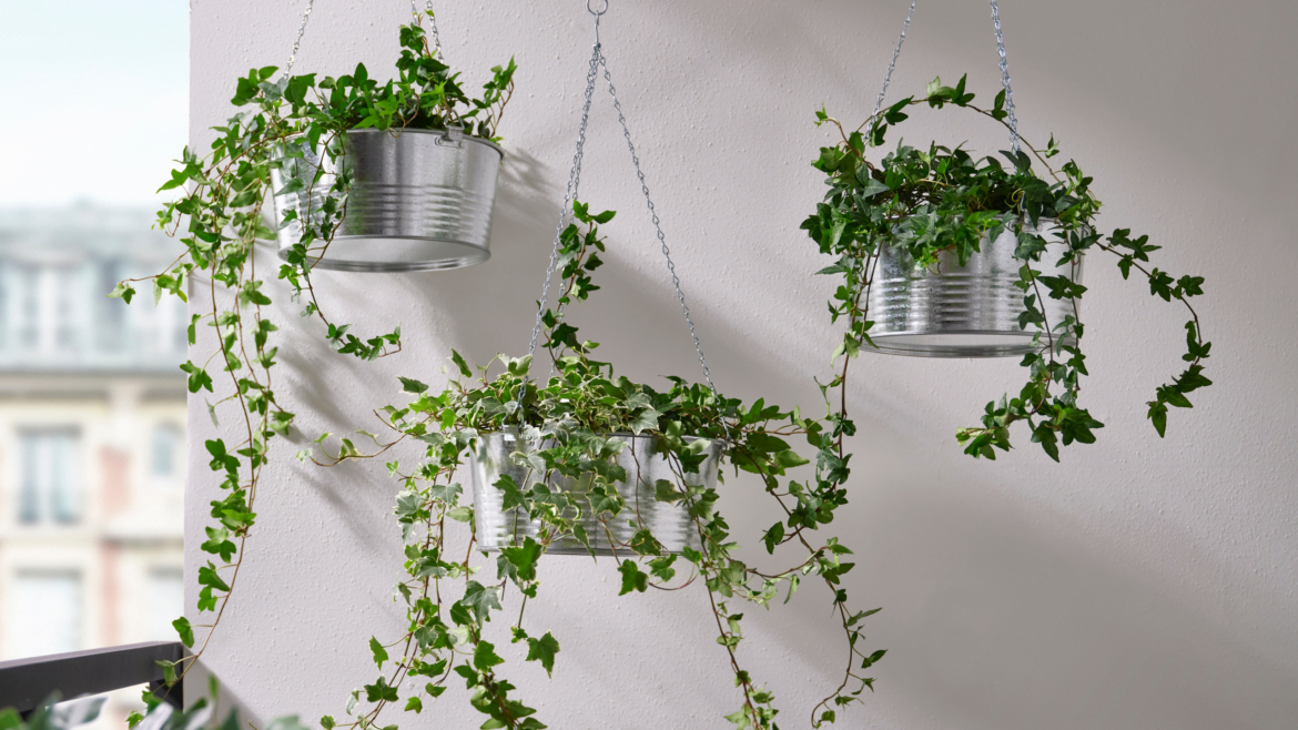 IKEA has dropped stylish steel hanging baskets for just £7