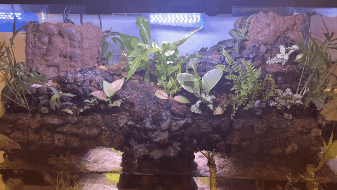 Water feature issues