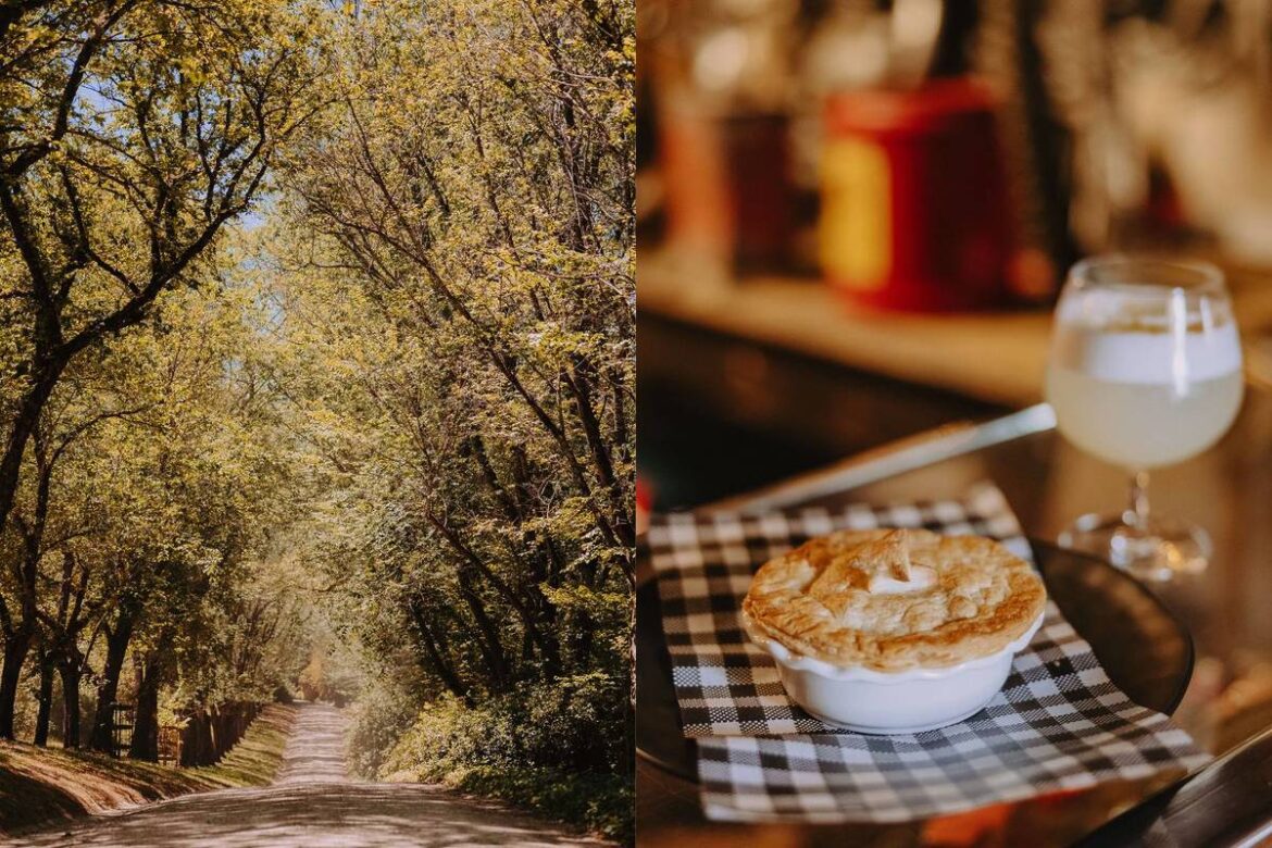 The Macedon Ranges Autumn Festival Returns With Open Gardens, Pie Trails And A New Harvest Night The Macedon Ranges Autumn Festival Returns With Open Gardens, Pie Trails And A New Harvest Night