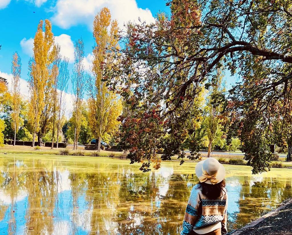 woman looking across lake at autumn trees in Malmsbury Botanic Garden