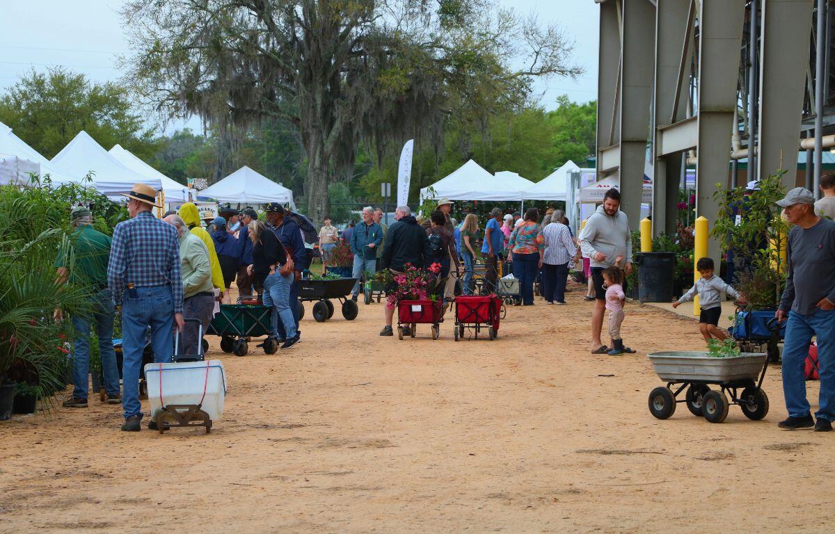 A crowd of people with wagons walk on a dirt path through vendors featuring a variety of plants under white canopies.