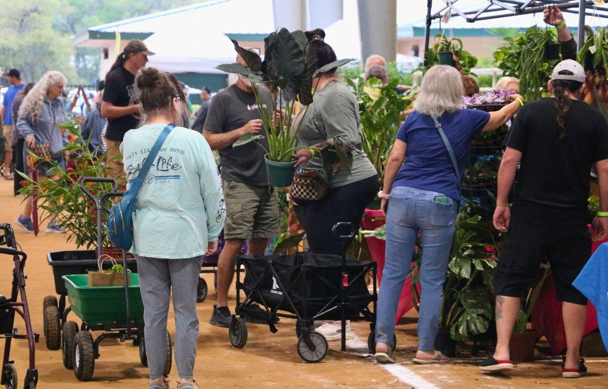 A crowd of guests walk around with wagons and carry plants at an outdoor plant market.