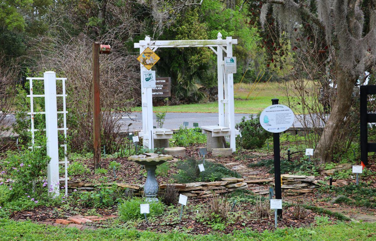A garden features a bird bath, shite benches, plants, a tree and multiple signs.