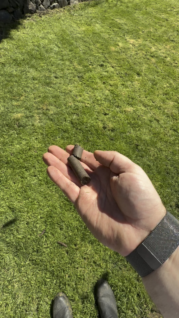 What does this aeration plug say about my soil? What does this aeration plug say about my soil?