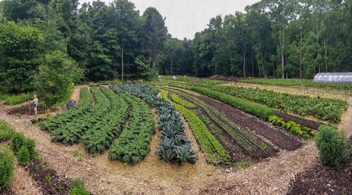 Dream of Running a Market Garden? Start Here! Dream of Running a Market Garden? Start Here!