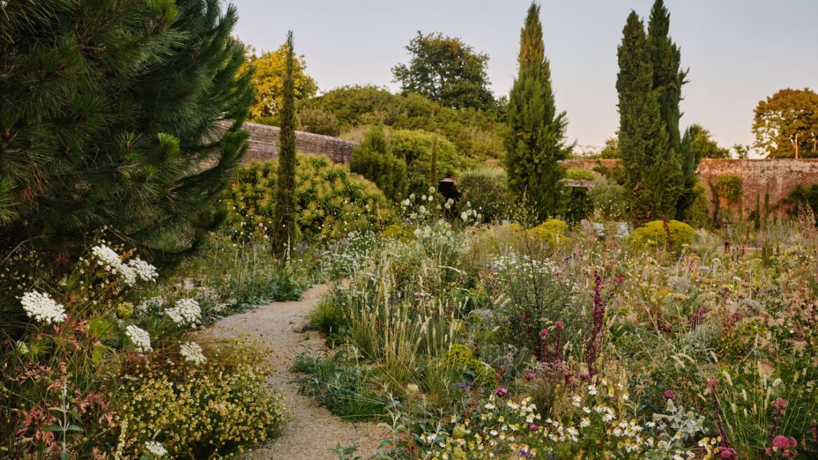 Why you should embrace the ‘messy’ garden