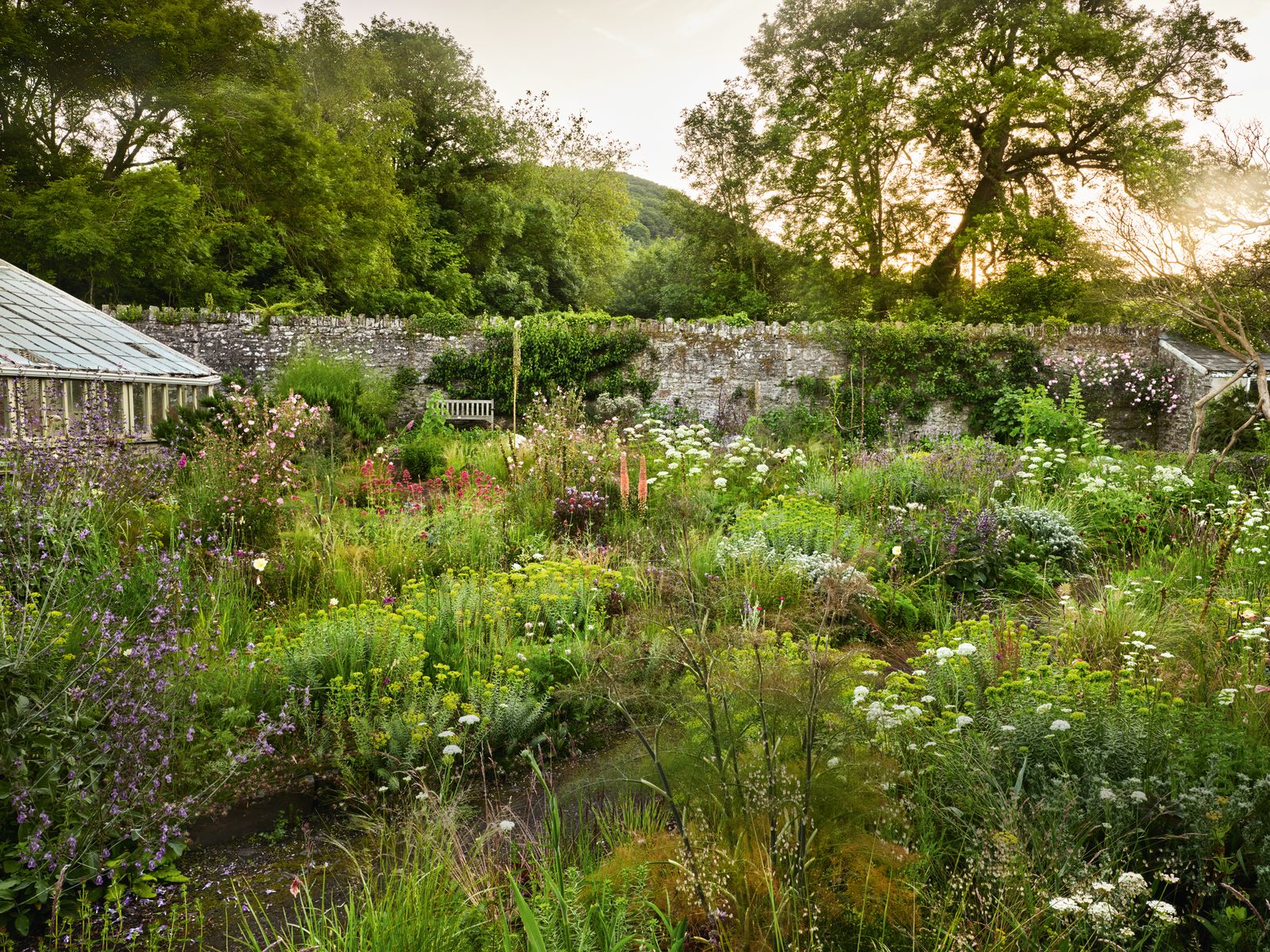 Image may contain Garden Nature Outdoors Herbal Herbs Plant Vegetation Grove Land Tree Woodland and Backyard