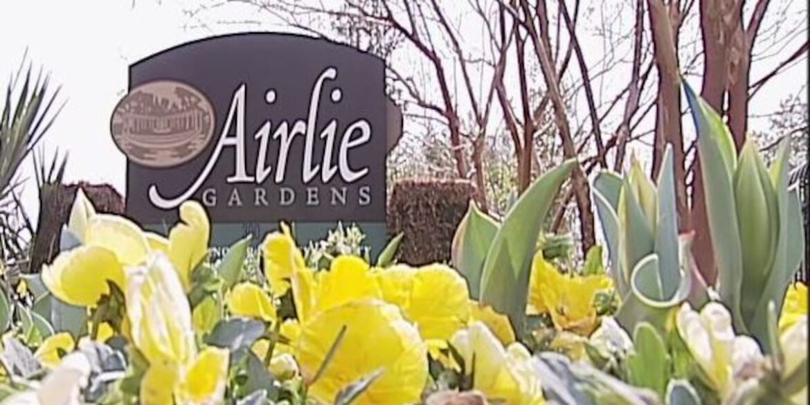 Airlie Gardens hosting “Blooms and Brews” event next week Airlie Gardens hosting “Blooms and Brews” event next week