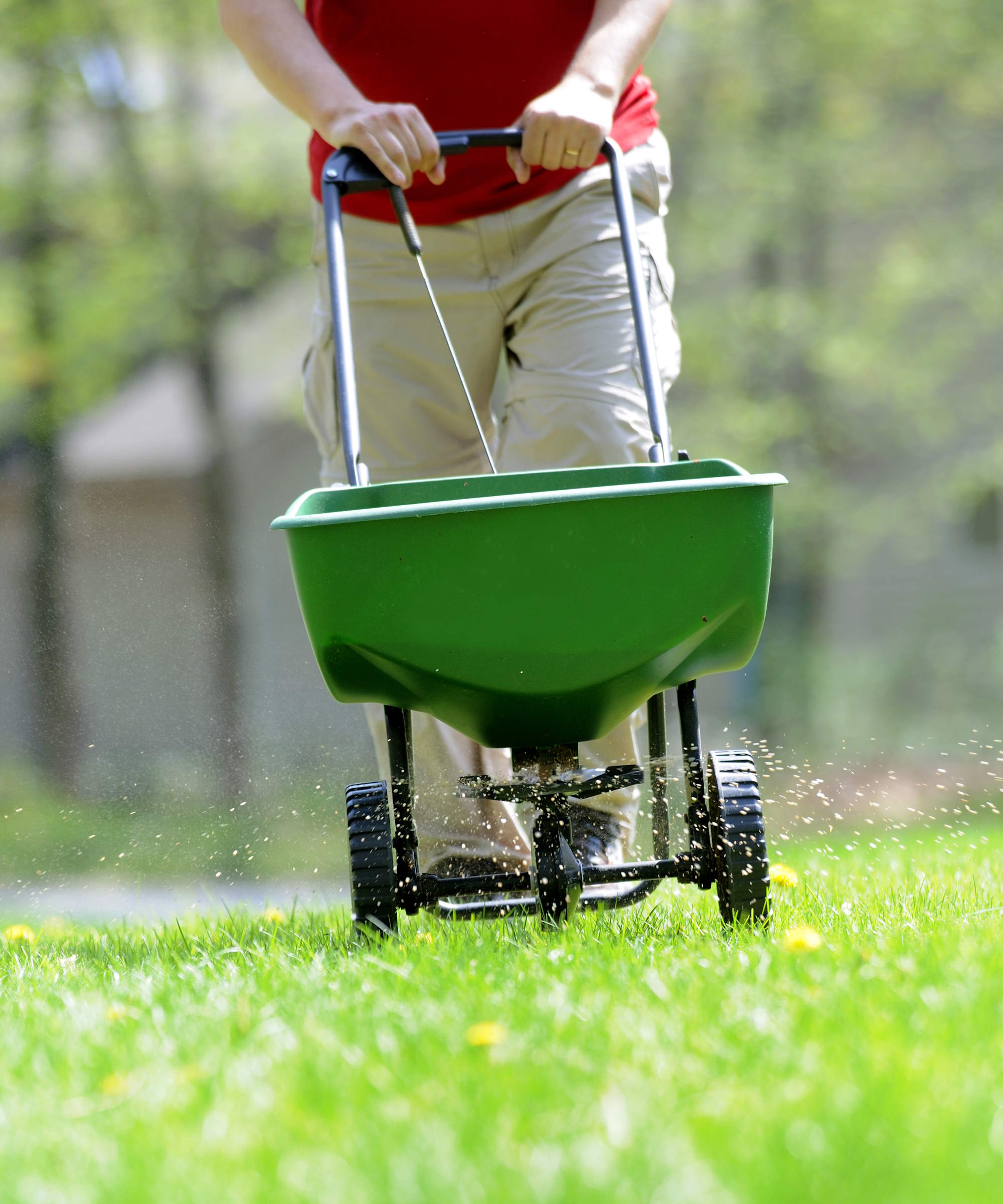 A man fertilizing a lawn with a spreader