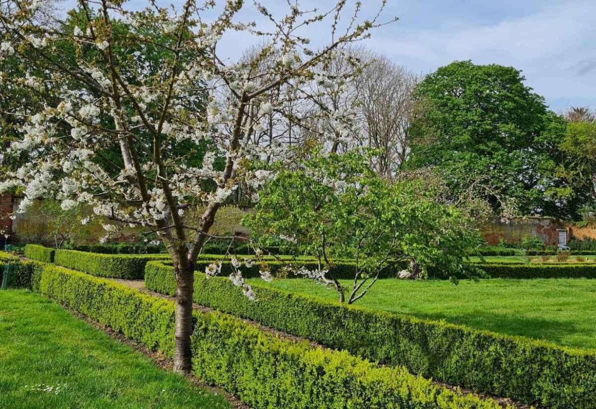 Open dates for The Gardens of Easton Lodge near Great Dunmow this spring