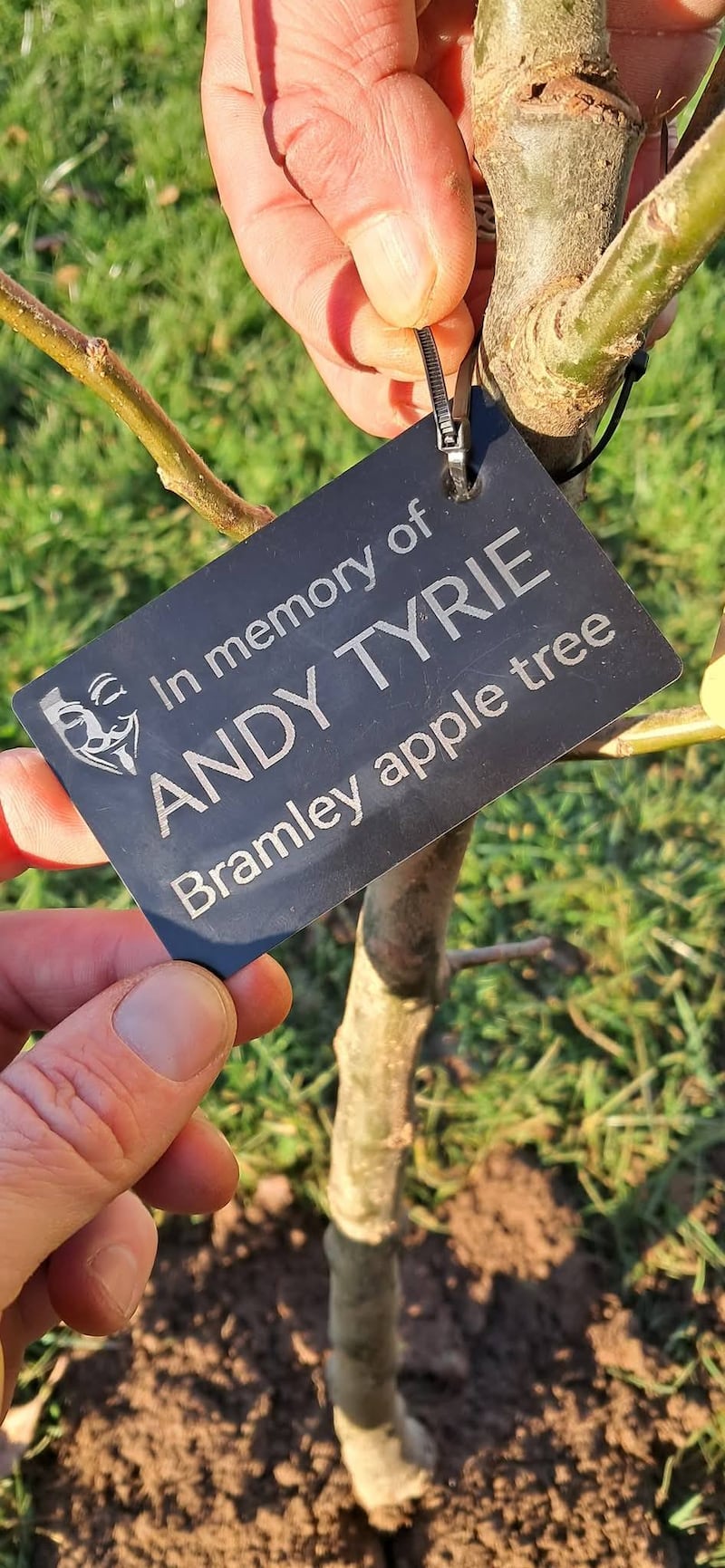 The apple sapling planted in memory of former UDA commander Andy Tyrie PICTURE: PHANTOM PLANTER/FACEBOOK