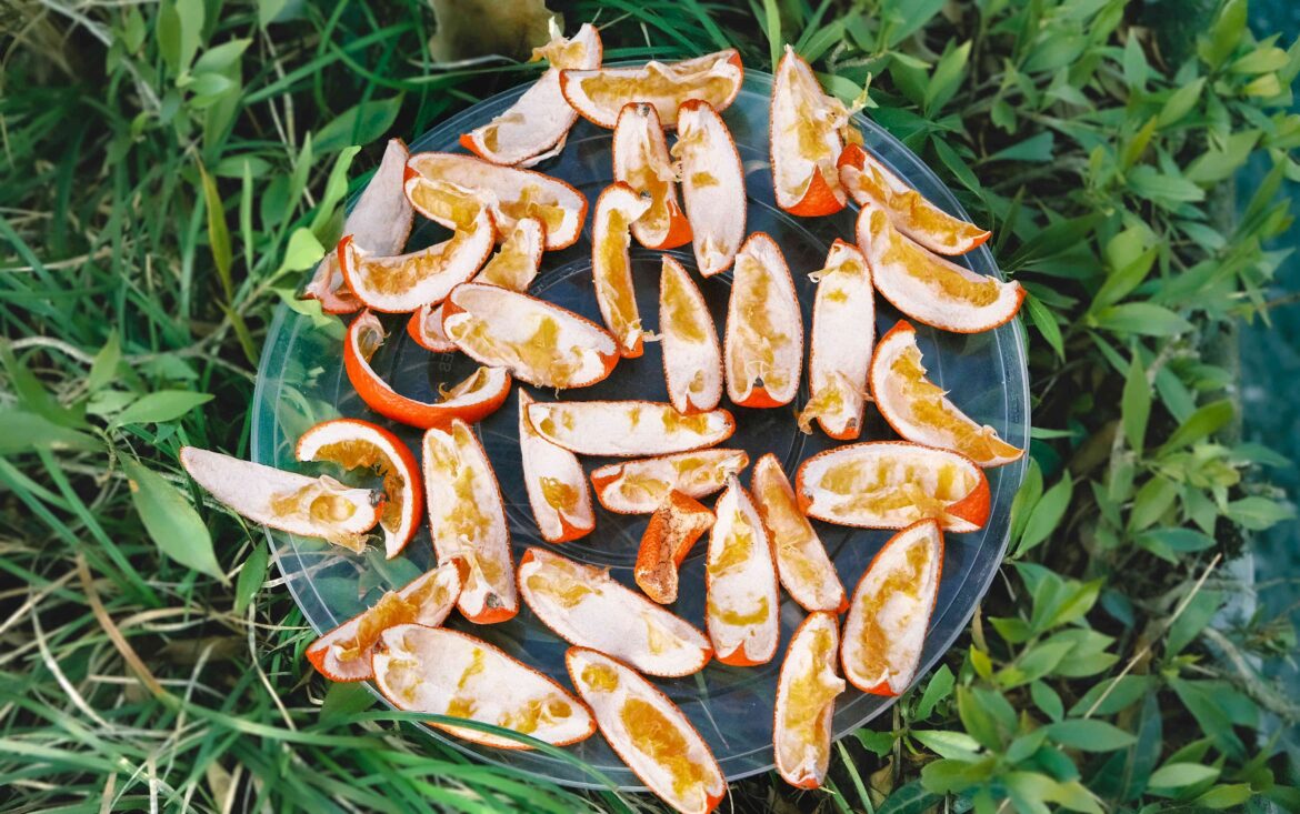 How to Use Orange Peels in Your Garden, According to Gardeners