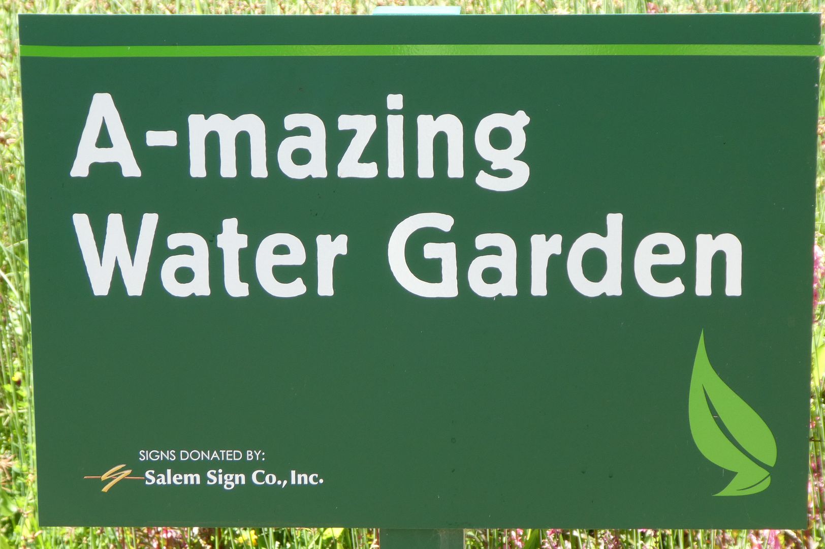  photo P1130399_zpspswev2ae.jpg