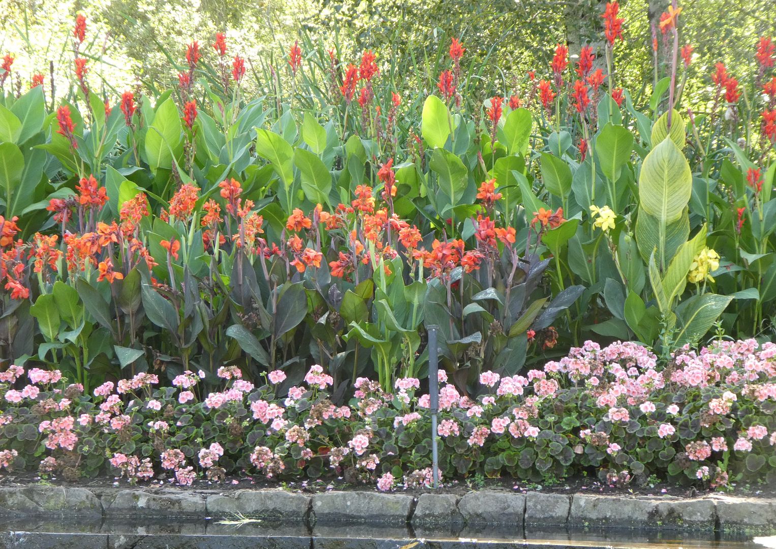  photo P1130419_zpsrswpfhvz.jpg