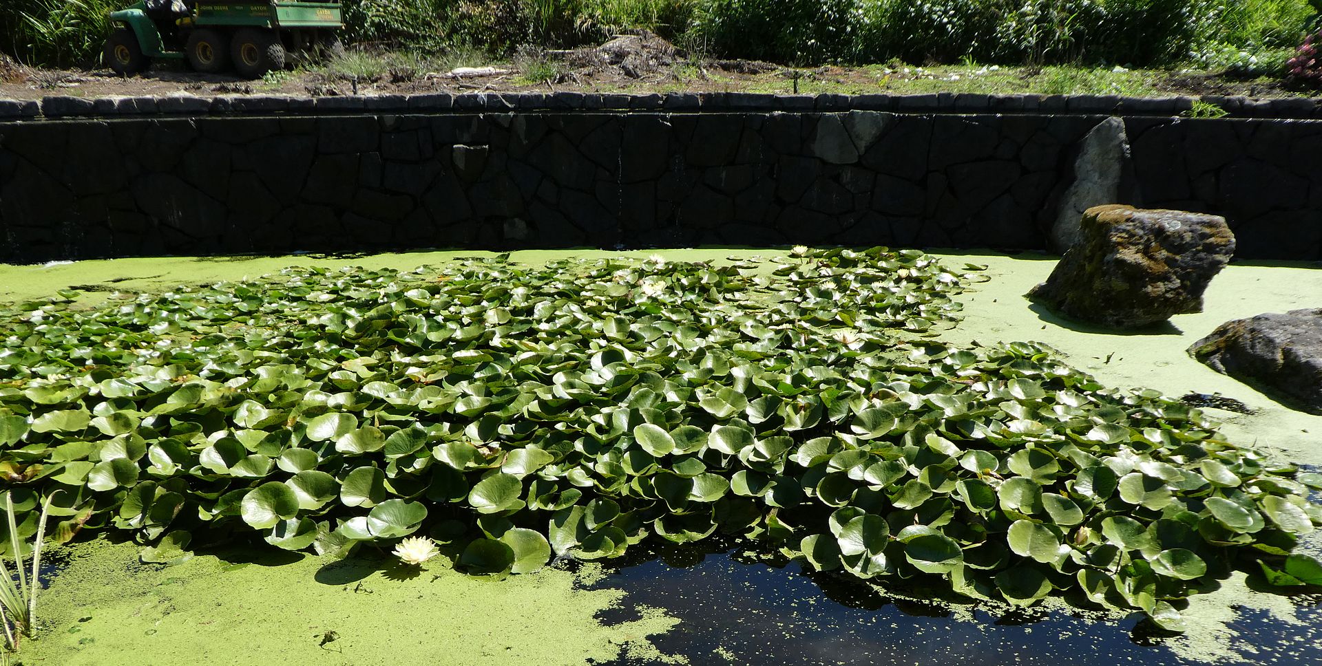  photo P1130421_zpsdbnuxnc4.jpg