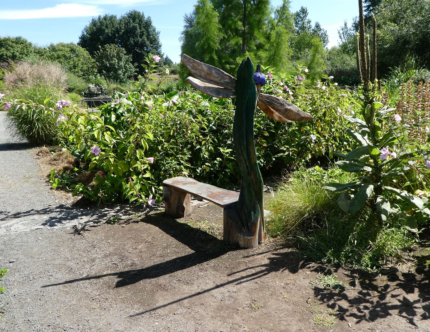  photo P1130437_zpsdxazpay5.jpg