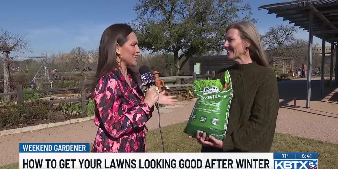 Weekend Gardener: Lawn fertilizer