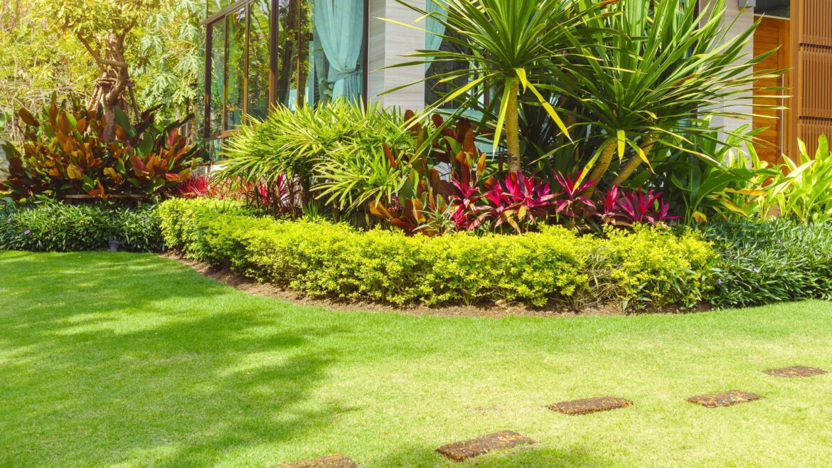 Why a Lawn Soil Test Can Be the Key to Better Summer Grass A house with a green, lush front lawn and tropical planting