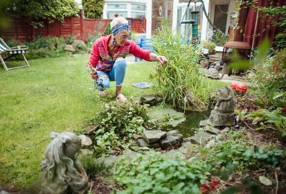 Woman with pond Woman with pond