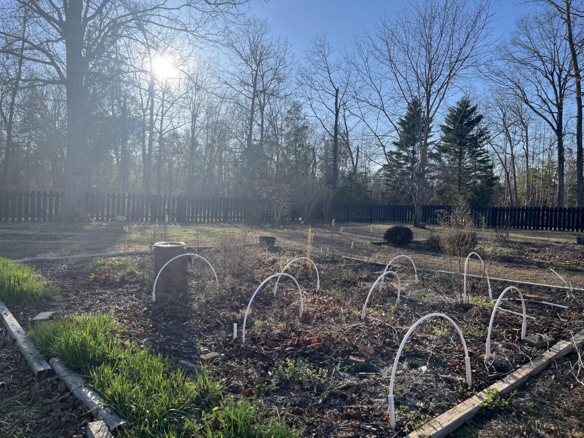 Prepping the garden beds for spring, 65 and sunny.. it was a great day ☀️