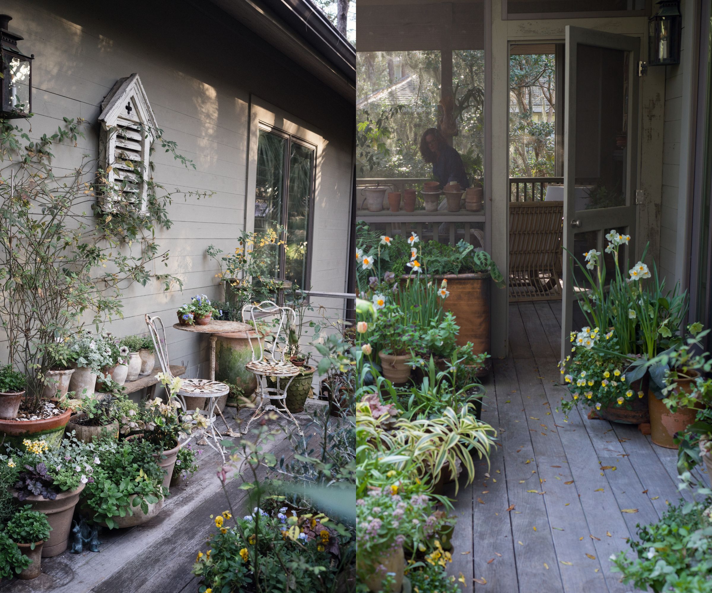 Lucy Hunter's Charleston garden in spring