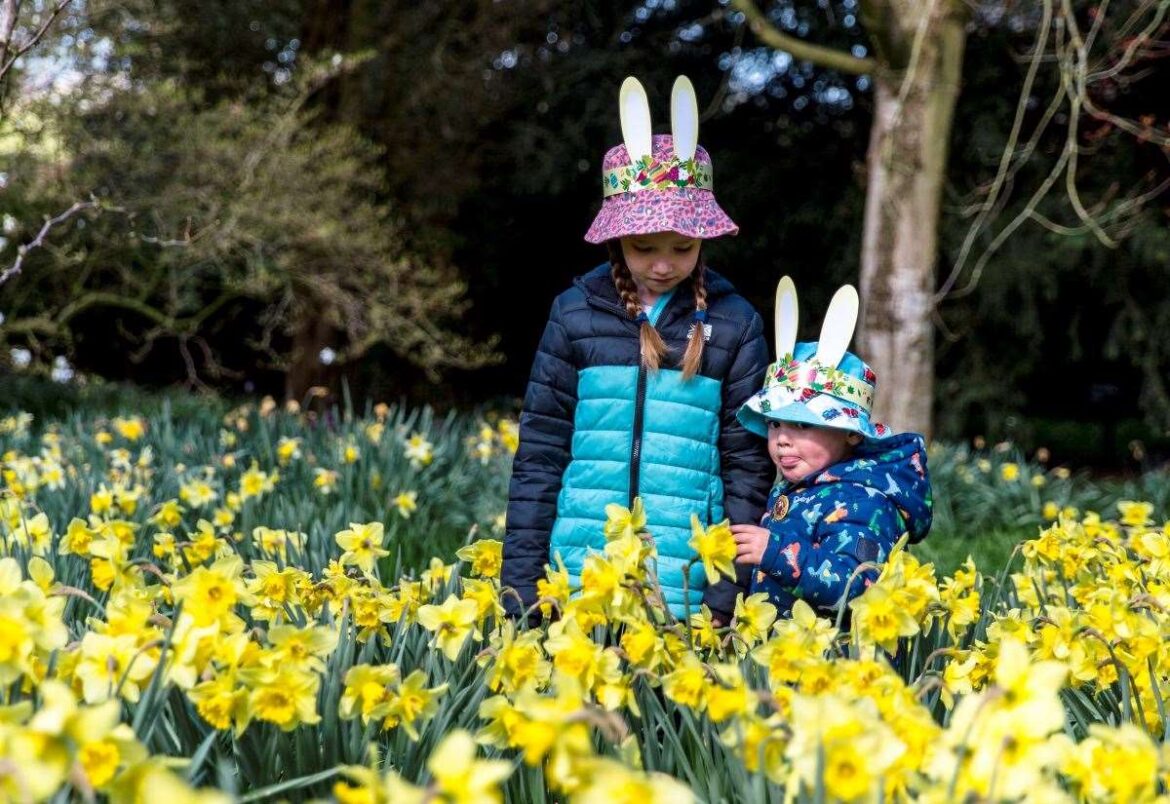 Family trails, egg hunts and garden games at Kent’s National Trust properties this Easter